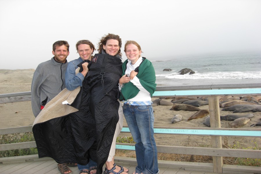 ../image/elephant seals near san simeon dan jane mary lois.jpg